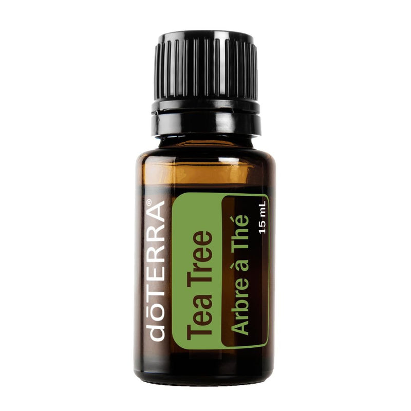Tea Tree Essential Oil by doTERRA (Melaleuca alternifolia) 15mL - DoTerra Essential Oils